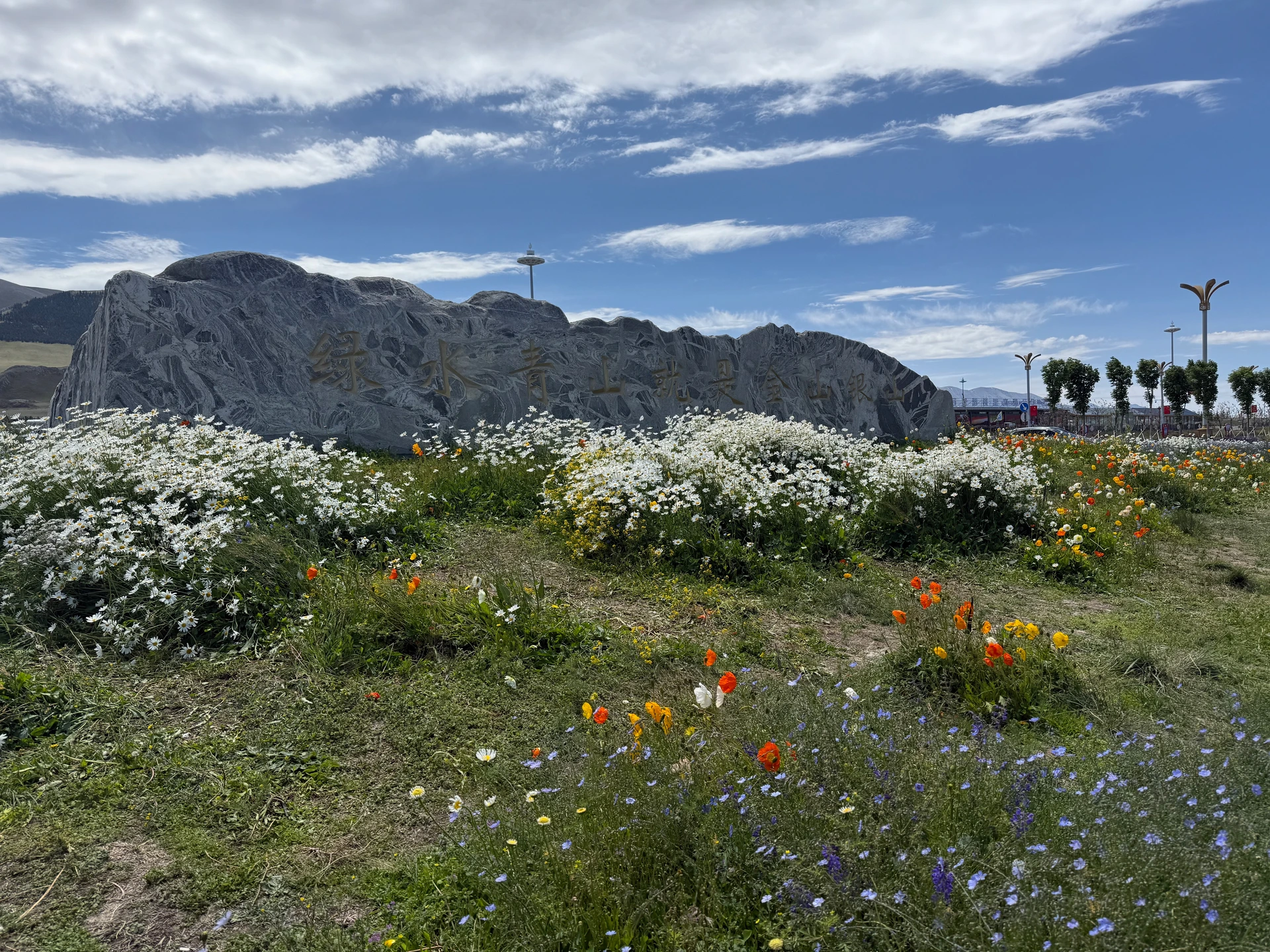 Sayram Flowers